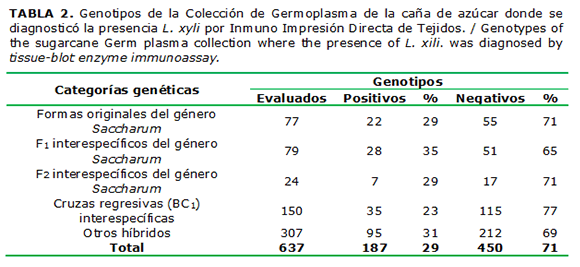 TABLA 2. Genotipos de la Colecci&oacute;n de Germoplasma de la ca&ntilde;a de az&uacute;car donde se diagnostic&oacute; la presencia L. xyli por Inmuno Impresi&oacute;n Directa de Tejidos. / Genotypes of the sugarcane Germ plasma collection where the presence of L. xili. was diagnosed by tissue-blot enzyme immunoassay.