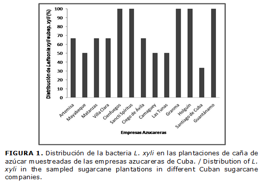 FIGURA 1. Distribuci&oacute;n de la bacteria L. xyli en las plantaciones de ca&ntilde;a de az&uacute;car muestreadas de las empresas azucareras de Cuba. / Distribution of L. xyli in the sampled sugarcane plantations in different Cuban sugarcane companies.