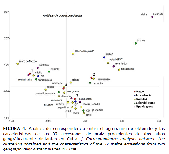 FIGURA 4. An&aacute;lisis de correspondencia entre el agrupamiento obtenido y las caracter&iacute;sticas de las 37 accesiones de ma&iacute;z procedentes de dos sitios geogr&aacute;ficamente distantes en Cuba. / Correspondence analysis between the clustering obtained and the characteristics of the 37 maize accessions from two geographically distant places in Cuba.