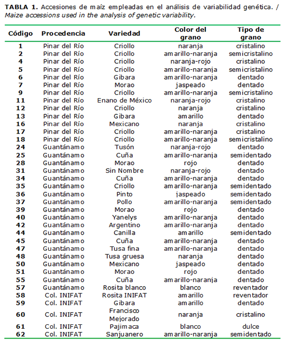 TABLA 1. Accesiones de ma&iacute;z empleadas en el an&aacute;lisis de variabilidad gen&eacute;tica. / Maize accessions used in the analysis of genetic variability.