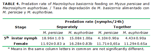 TABLE 4. Predation rate of Macrolophus basicornis feeding on Myzus persicae and Macrosiphum euphorbiae. / Tasa de depredaci&oacute;n de M. basicornis alimentado con M. persicae y M. euphorbiae.