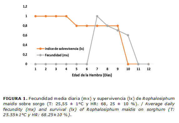 FIGURA 1. Fecundidad media diaria (mx) y supervivencia (lx) de Rophalosiphum maidis sobre sorgo (T: 25,55 &plusmn; 1&deg;C y HR: 68, 25 &plusmn; 10 %). / Average daily fecundity (mx) and survival (lx) of Rophalosiphum maidis on sorghum (T: 25.55&plusmn;1&deg;C y HR: 68.25&plusmn;10 %).