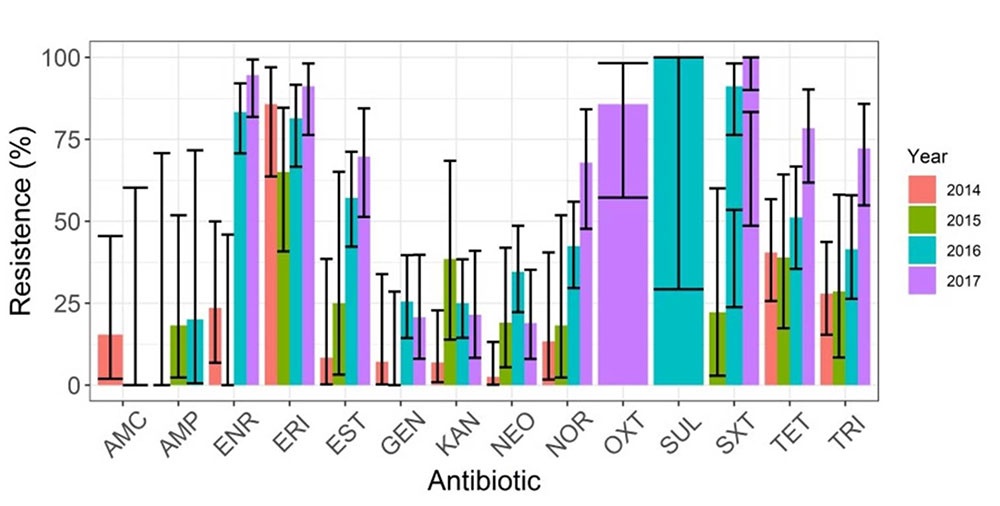Frecuencia de resistencia antimicrobiana de aislados clínicos extraintestinales de Escherichia coli en pollitos de un día durante el periodo 2014-2017. Abreviaciones: amoxicilina (AMC), ampicilina (AMP), enrofloxacina (ENR), eritromicina (ERI), estreptomicina (EST), gentamicina (GEN), kanamicina (KAN), neomicina (NEO), norfloxacina (NOR), oxitetraciclina (OXT), sulfonamida (SUL), trimetoprim/sulfametazol o cotrimoxazol (SXT), tetraciclina (TET), trimetoprim (TRI). / Frequency of antimicrobial resistance in extraintestinal clinical isolates of Escherichia coli from day-old chicks during the 2014-2017 period. Abbreviations: amoxicillin (AMC), ampicillin (AMP), enrofloxacin (ENR), erythromycin (ERI), streptomycin (EST), gentamicin (GEN), kanamycin (KAN), neomycin (NEO), norfloxacin (NOR), oxytetracycline (OXT), sulfonamide (SUL), trimethoprim/sulfamethoxazole or cotrimoxazole (SXT), tetracycline (TET), trimethoprim (TRI).